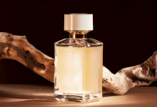 presentation of woody perfume with wooden notes on brown background