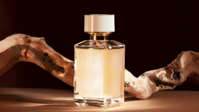 presentation of woody perfume with wooden notes on brown background