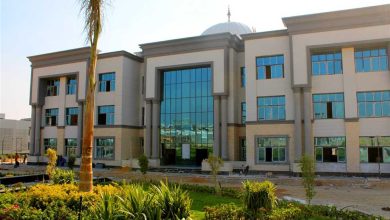 جامعة مايو