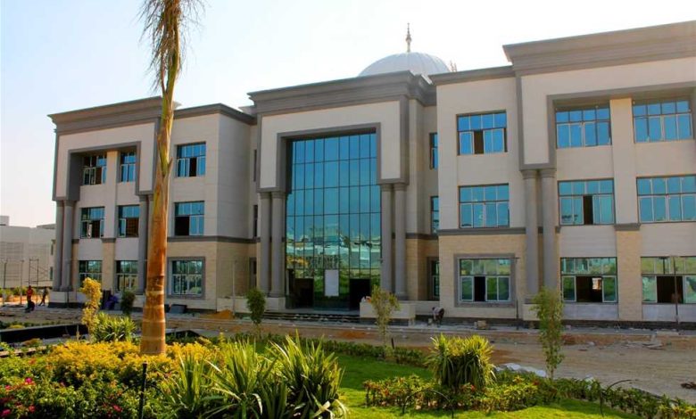 جامعة مايو
