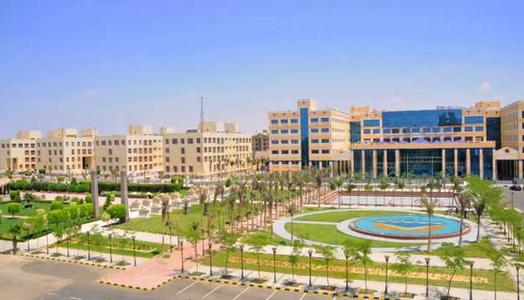 دليل العائدين من الخليج 2026.. أسعار ومجاميع القبول في الجامعات الخاصة المصرية 1 دليل العائدين من الخليج 2026