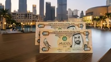 سعر الدرهم الإماراتي أمام الجنيه المصري اليوم السبت 13 يونيو 2026 4 سعر الدرهم الإماراتي مقابل الجنيه