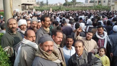 المصريون في بغداد والبصرة وأربيل.. ما الفرق بين التأشيرة والإقامة وتصريح العمل؟ 9 565