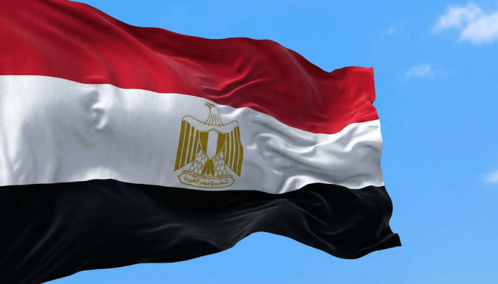 تجديد بطاقة الرقم القومي 2026 للمصريين داخل وخارج مصر 2 تجديد بطاقة الرقم القومي 2026 للمصريين داخل وخارج مصر