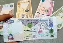 الدرهم الاماراتي