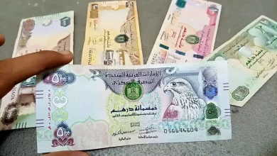 الدرهم الاماراتي