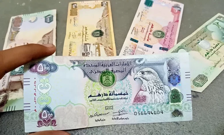 الدرهم الاماراتي