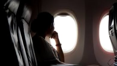 نظام التأمينات الاجتماعية للمصريين بالخارج