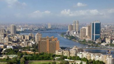 نماذج مصرية ناجحة في الخليج