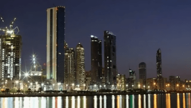 حماية الأجور في الإمارات.. إجراءات صارمة ضد الشركات المتأخرة في السداد 8 حماية الأجور في الإمارات