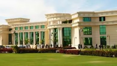 جامعة أكتوبر للعلوم الحديثة والآداب (MSA)