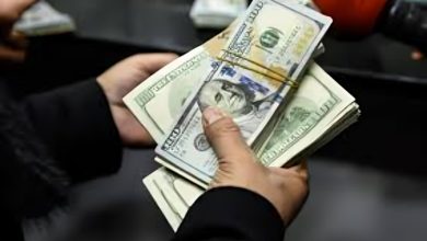 تحويلات المصريين من الإمارات تقفز إلى 3.6 مليار دولار.. ما أسباب الزيادة؟ 4 تحويلات المصريين من الإمارات إلى مصر