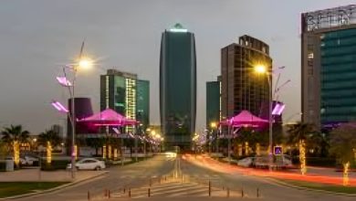 فرص العمل في كردستان العراق للمصريين.. ما الشروط والتحديات؟ 8 فرص عمل للمصريين في كردستان العراق