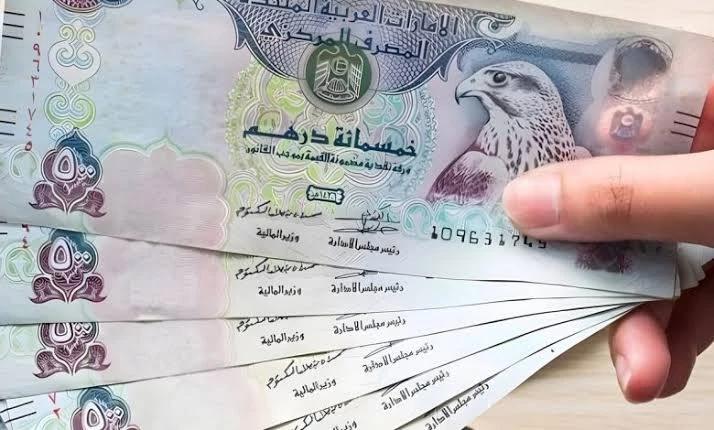 الدرهم الاماراتي