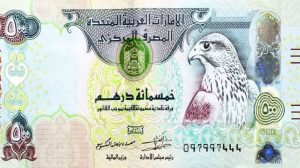 الدرهم الاماراتي