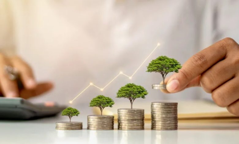 ارتفاع تحويلات المصريين من الإمارات يفتح آفاقًا جديدة للاستثمار داخل مصر 1 ااا