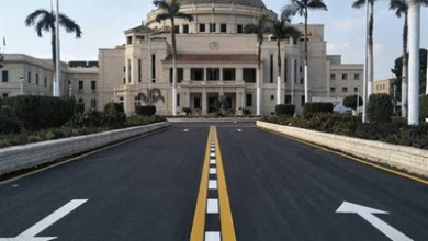 الهندسة والإعلام وإدارة الأعمال.. أبرز التخصصات المطلوبة للعائدين من الخارج في 2026 5 جامعات مصرية