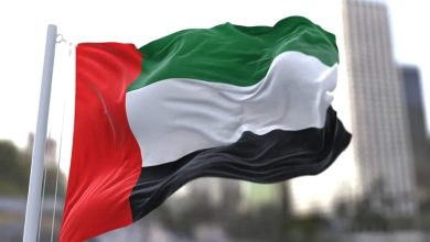 علم دولة الامارات 3