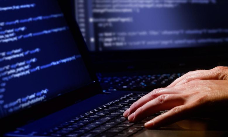 وظائف برمجة للمصريين في الإمارات