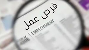 وظائف الخليج في أغسطس 2026.. 7 تخصصات مطلوبة للمصريين وتحذير من العقود الوهمية 2 الوظائف المطلوبة للمصريين في دول الخليج