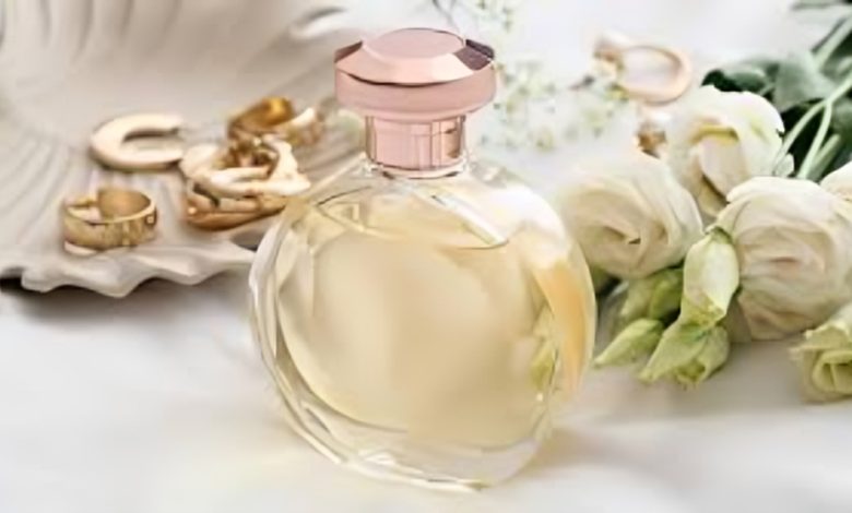 عطور فاخرة بأسعار متوسطة.. اختيارات مناسبة للمصريات في الخليج 1 عطور فاخرة بأسعار متوسطة