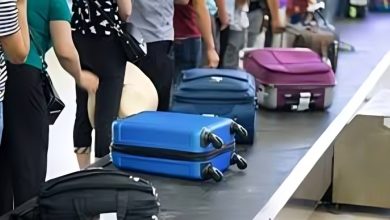الوزن المسموح على مصر للطيران من الخليج 2026.. عدد الحقائب ورسوم الزيادة 8 وزن شنطة مصر للطيران