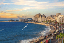 إجازات الإمارات الرسمية 2026