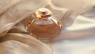 أفضل عطور نسائية في الخليج 2026.. روائح فاخرة تناسب الصيف والمناسبات 6 أفضل عطور نسائية في الخليج 2026