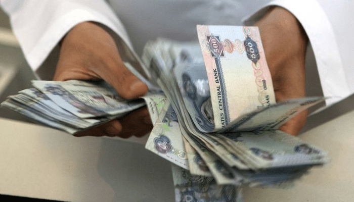 نظام حماية الأجور بالإمارات