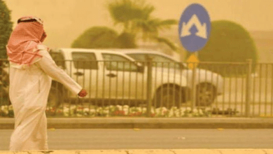 حالة الطقس في السعودية اليوم 18 يونيو 2026.. موجة حر تصل إلى 50 درجة 6 حالة الطقس في السعودية اليوم 18 يونيو 2026