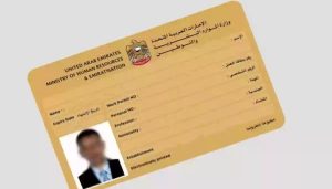 الانتقال إلى وظيفة أفضل في الإمارات.. 9 مستندات مطلوبة بعد الحصول على عرض عمل جديد 2 تصريح العمل في الإمارات