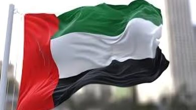 تكلفة إصدار إقامة مندوب مبيعات في الإمارات 2026.. الرسوم والشروط وخطوات التقديم 6 تكلفة إصدار إقامة مندوب مبيعات في الإمارات 2026