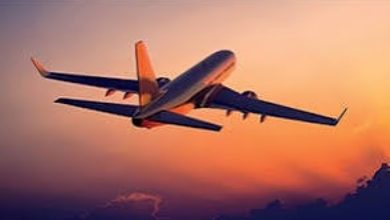 هل يمكن لزوج الأخت استخراج زيارة عائلية للإمارات للمصريين؟ 6 استخراج زيارة عائلية للإمارات للمصريين