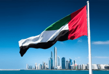 الفيش الإلكتروني للإمارات