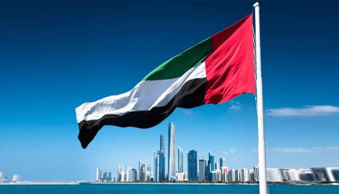 الفيش الإلكتروني للإمارات.. هل يحتاج إلى ختم الأدلة الجنائية أم الخارجية؟ 1 الفيش الإلكتروني للإمارات