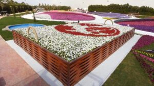 مهرجان الزهور والحدائق في ينبع.. 7 تجارب تجعل الوجهة مثالية للعائلات خلال أمسيات الصيف 3 مهرجان الزهور والحدائق في ينبع - أرشيف