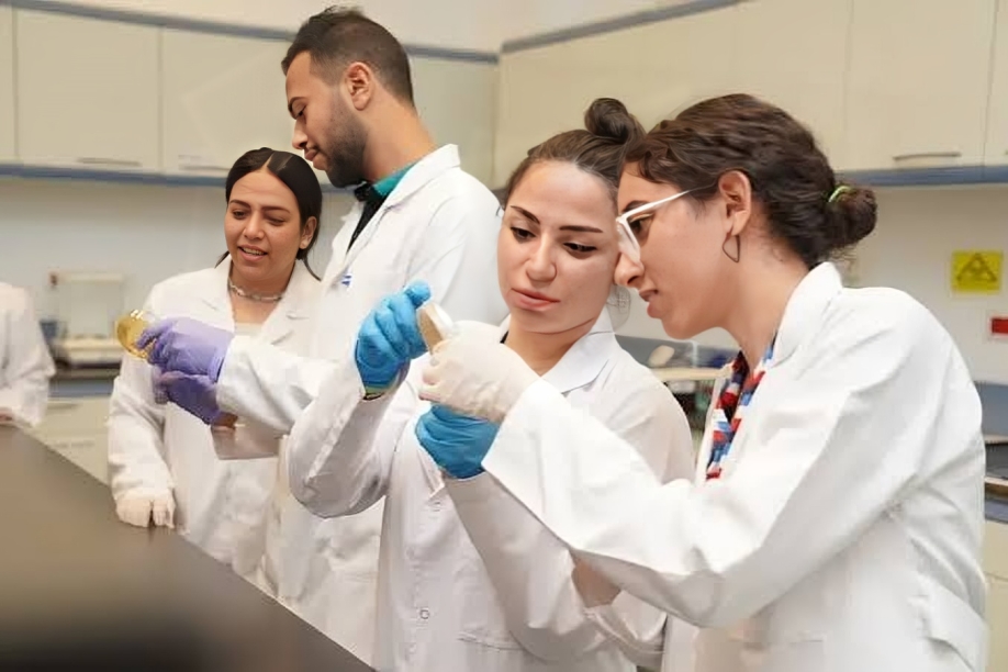 قبل اختيار الكلية.. تعرّف على التخصصات المطلوبة في سوق العمل الخليجي حتى 2030 2 التخصصات الجامعية المطلوبة في السعودية والإمارات وقطر