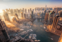 هل أصبحت معادلة الشهادة شرطًا أساسيًا للحصول على تصريح العمل في الإمارات؟ 5 هل أصبحت معادلة الشهادة شرطًا أساسيًا للحصول على تصريح العمل في الإمارات؟