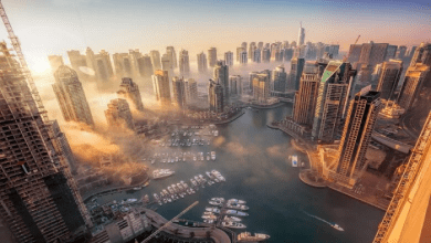 هل أصبحت معادلة الشهادة شرطًا أساسيًا للحصول على تصريح العمل في الإمارات؟ 6 هل أصبحت معادلة الشهادة شرطًا أساسيًا للحصول على تصريح العمل في الإمارات؟