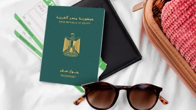 10 خدمات حكومية يجب أن ينهيها المصريون القادمون من الخليج خلال إجازة صيف 2026 6 Screenshot 2025 10 05 130316
