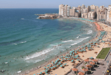 الإسكندرية وشرم الشيخ ضمن 12 وجهة صيفية للخطوط الكويتية في موسم 2026 5 وجهات صيفية للخطوط الكويتية