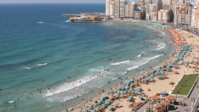 الإسكندرية وشرم الشيخ ضمن 12 وجهة صيفية للخطوط الكويتية في موسم 2026 7 وجهات صيفية للخطوط الكويتية