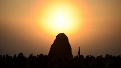 الأحساء تسجل 49 درجة.. حقوق العامل المصري خلال موجات الحر في السعودية 10 WhatsApp Image 2026 07 16 at 6.36.54 PM