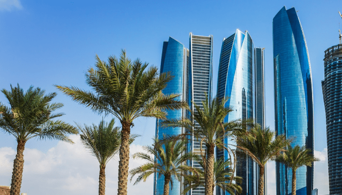 رفض إصدار الهوية الإماراتية بعد تعديل الوضع.. الأسباب والحلول 2 رفض إصدار الهوية الإماراتية بعد تعديل الوضع