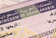 تأشيرة الزيارة أم السياحة أم العمرة.. أيها الأنسب للزوجة المسافرة إلى السعودية؟ 3 daily 020319 6.jpg
