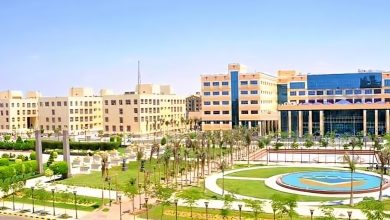 الجامعات الحكومية والأهلية والخاصة
