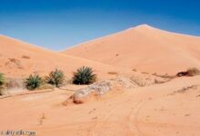 العثور على المهندس المصري إسلام يوسف متوفى في صحراء الرياض