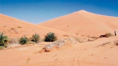 العثور على المهندس المصري إسلام يوسف متوفى في صحراء الرياض