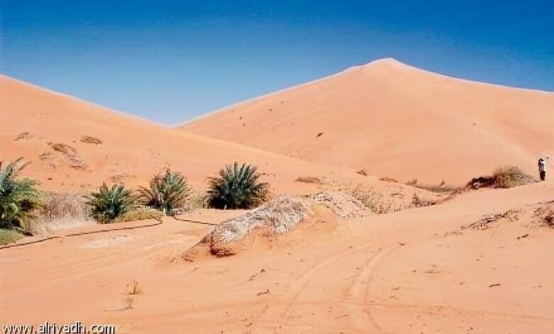العثور على المهندس المصري إسلام يوسف متوفى في صحراء الرياض