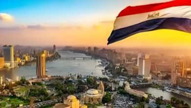مصر توسع الحماية التأمينية للمصريين العاملين بالخارج